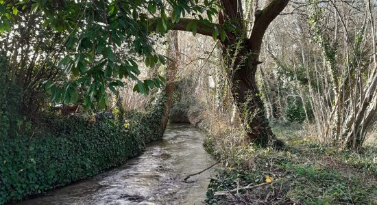 Circuit d’un bois à l’autre