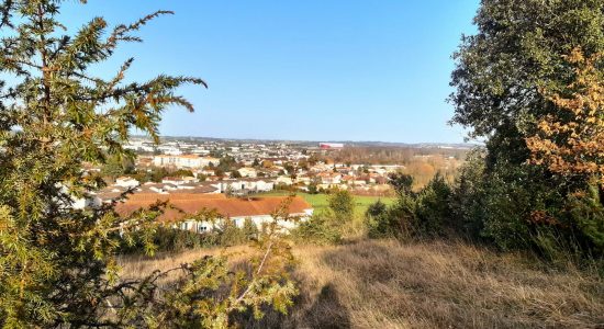 Circuit d’un bois à l’autre