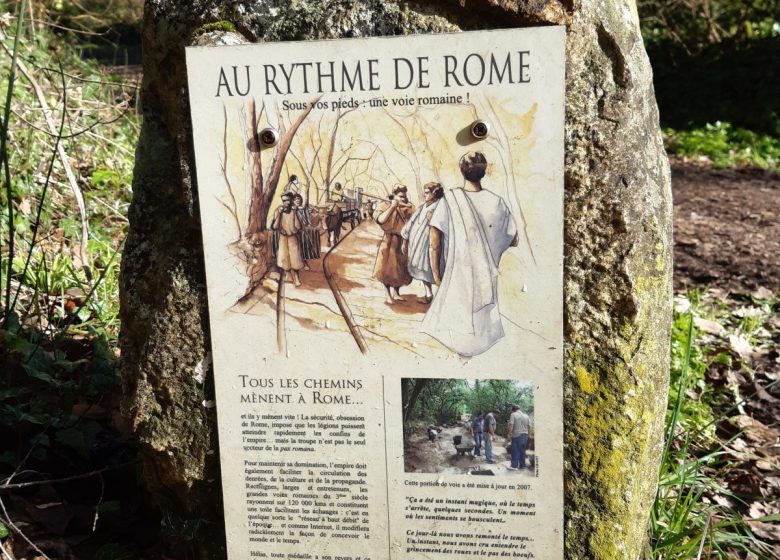 Circuit Michel Desprez