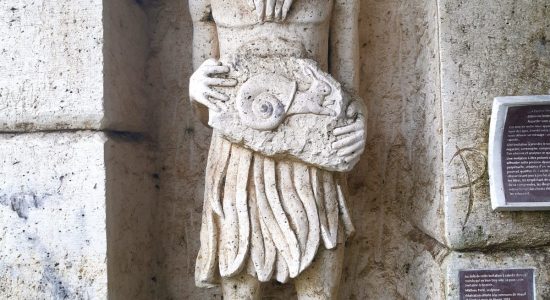 Circuit des chênes verts