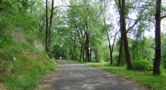 La Vallée de l’Anguienne
