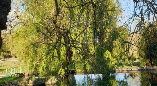 Le Jardin du Moulin de Nanteuillet