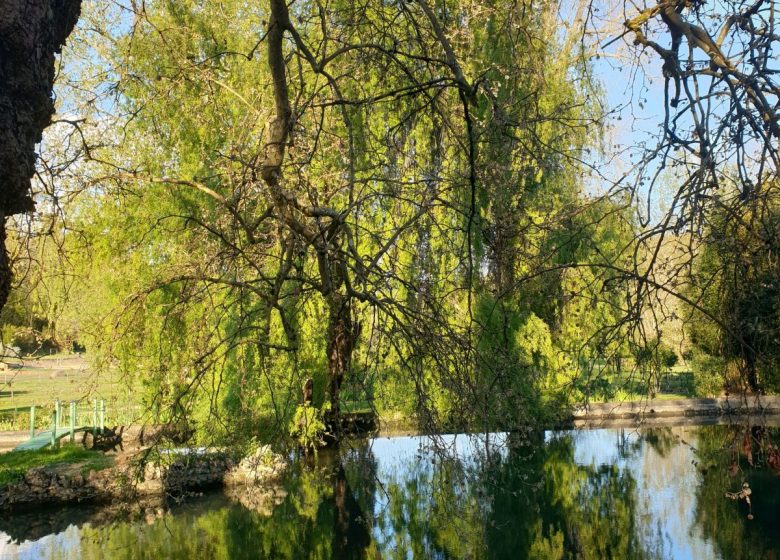 Le Jardin du Moulin de Nanteuillet
