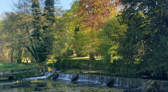 Le Jardin du Moulin de Nanteuillet
