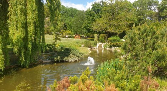 Les Jardins de la Fontaine à Mornac