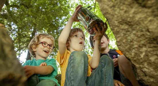Terra Aventura – Geocaching « Fondez pour Ruelle ! »