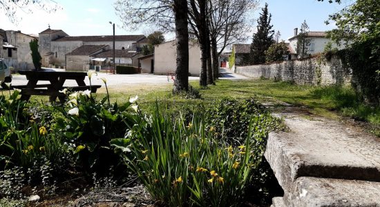 Circuit des orchidées et des truffières