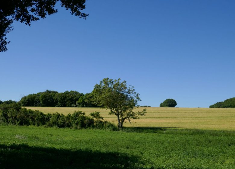Circuit de l’étang