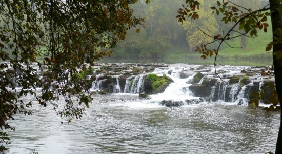 Circuit entre fleuve et prairies