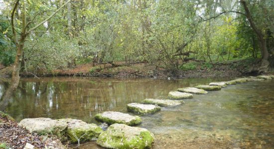 Circuit entre fleuve et prairies