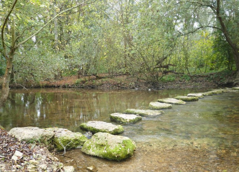 Circuit entre fleuve et prairies