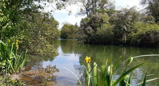 Circuit entre fleuve et prairies