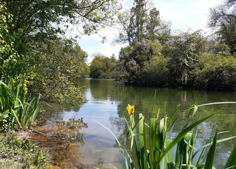 Circuit entre fleuve et prairies