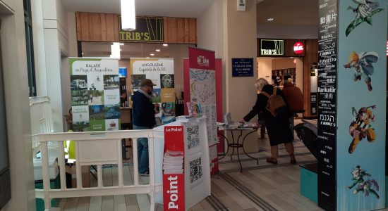 Festival International de la Bande Dessinée