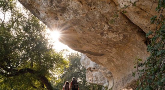 Circuit des chênes verts