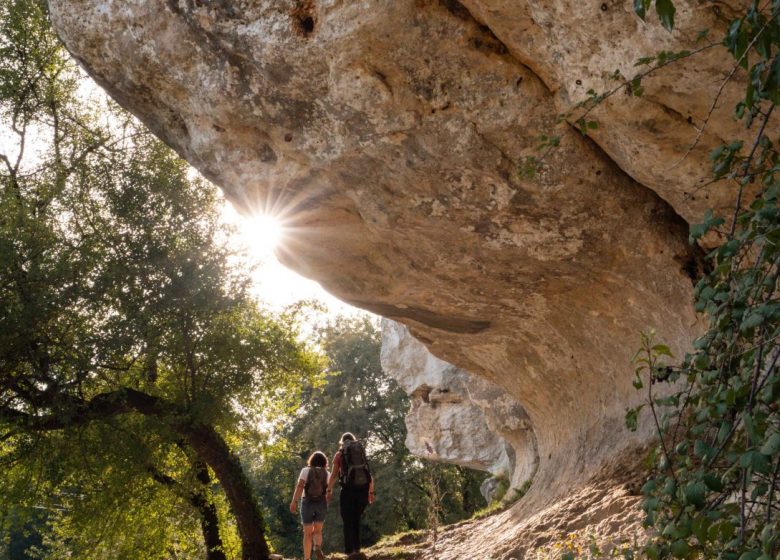 Circuit des chênes verts