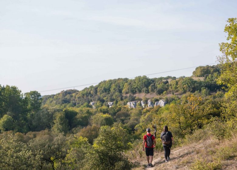 Circuit des chênes verts