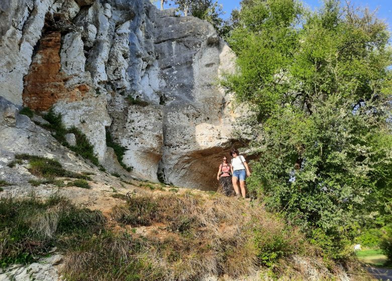 Circuit des chênes verts