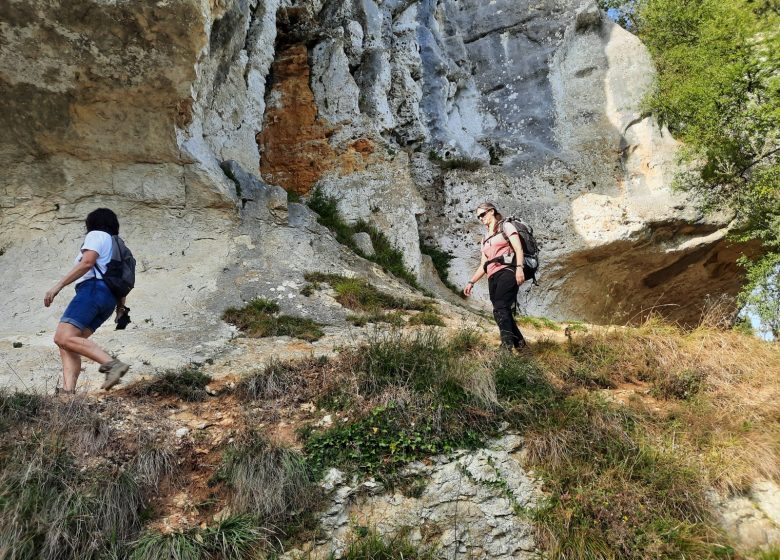 Circuit Michel Desprez