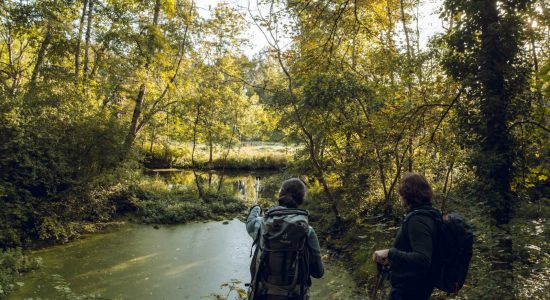 Circuit entre fleuve et prairies