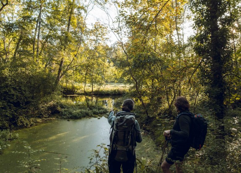 Circuit entre fleuve et prairies