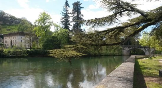 Parcours de running « Au bord du fleuve Charente »