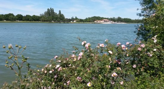 Parcours de running « Au bord du fleuve Charente »