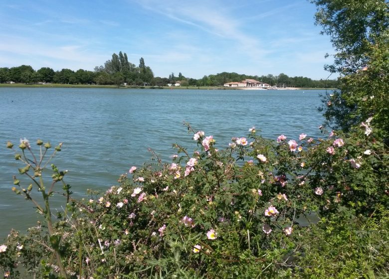 Parcours de running « Au bord du fleuve Charente »