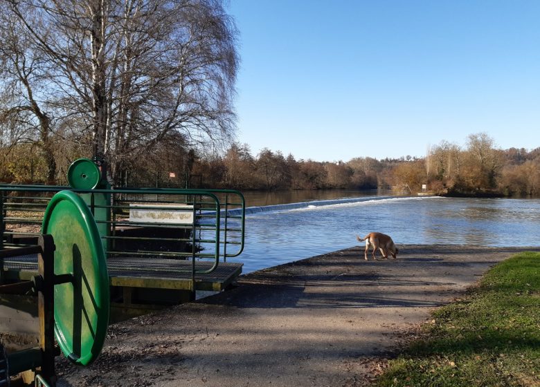 Parcours de running « Au bord du fleuve Charente »