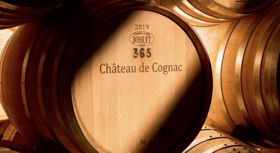 Château de Cognac – Maison des cognacs  BARON OTARD & D’USSÉ