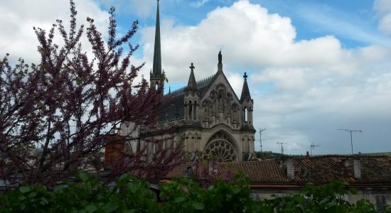 Parcours de running vert 8 km