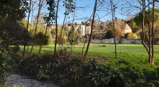 Parcours de running vert 8 km