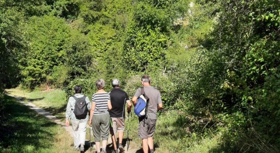 Circuit Michel Desprez