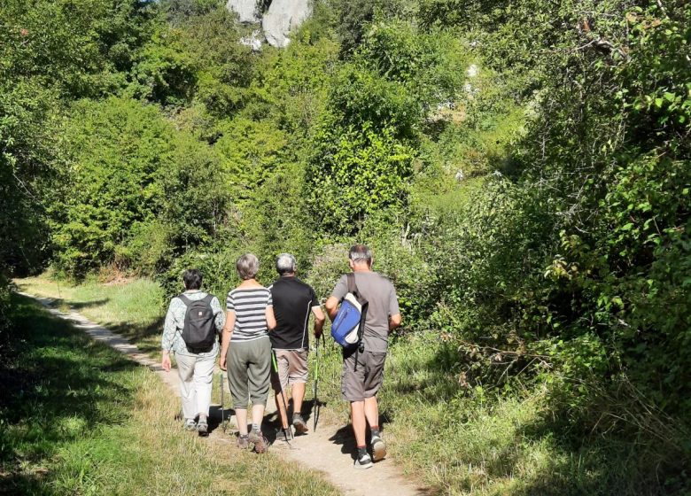 Circuit Michel Desprez