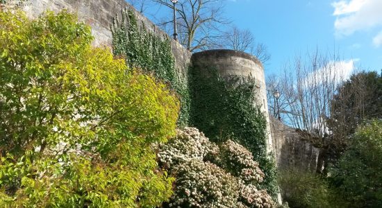 Bande dessinée et patrimoine