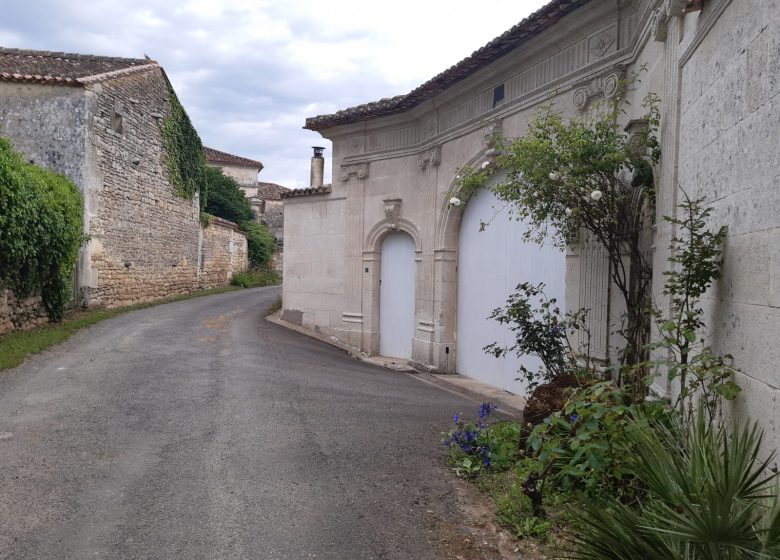 Circuit entre vignes et pierres