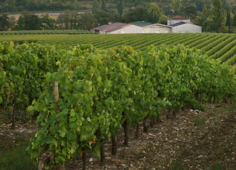 Distillerie des Moisans