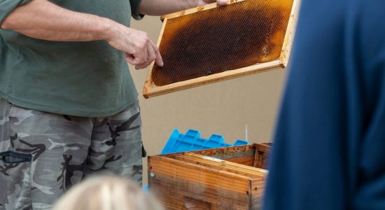 Miellerie de Feuillade