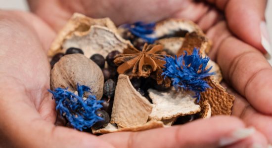 La Distillerie Citadelle Gin