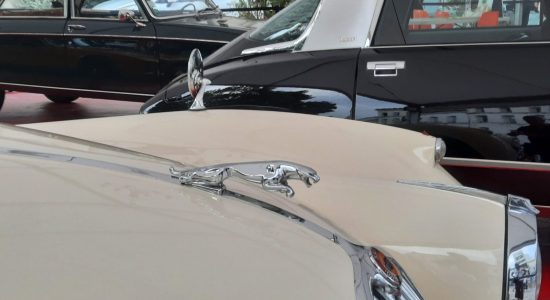 Rassemblement mensuel de voitures anciennes