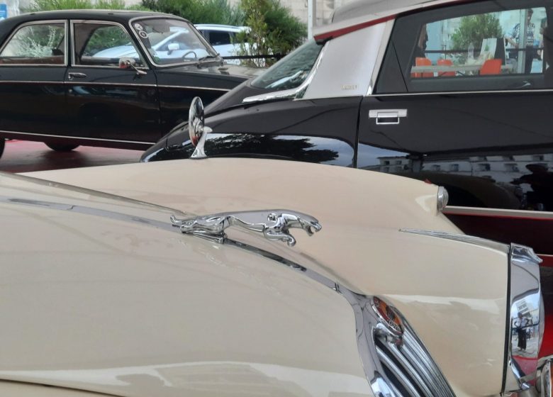 Rassemblement mensuel de voitures anciennes