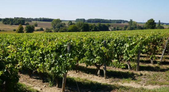 Circuit des deux clochers