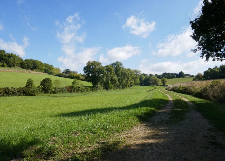 Circuit des 4 vallées