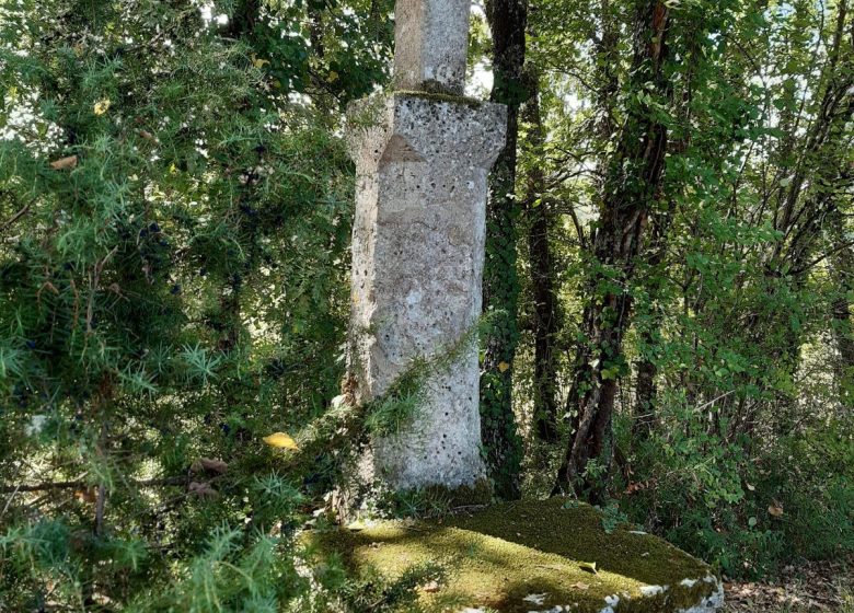 Circuit des 4 vallées