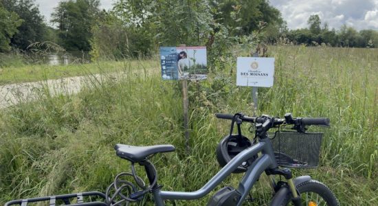 Visite guidée – Distillerie des Moisans