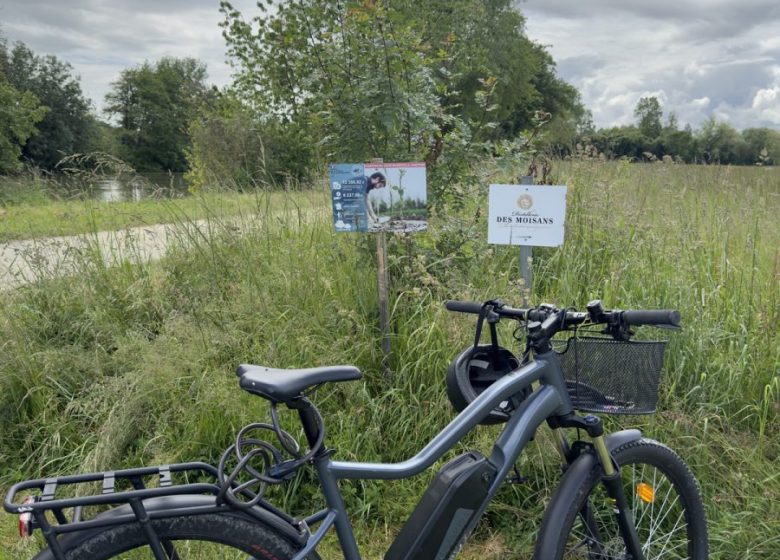 Visite guidée – Distillerie des Moisans