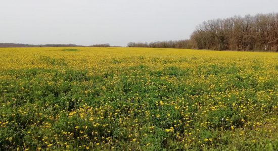 Circuit de la Vélude