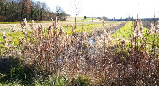Circuit de la Vélude