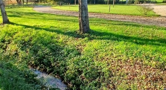 Aire de camping cars « La Fontaine »
