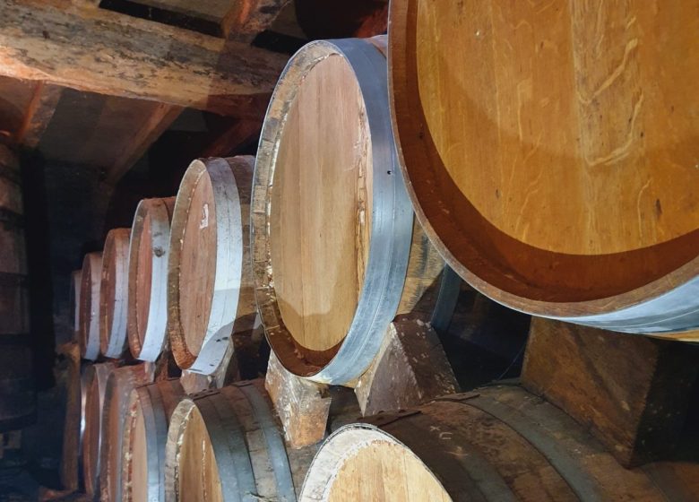 Domaine de la Chevalerie – Vignoble Pelletant